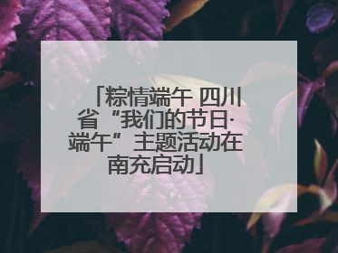 粽情端午 四川省“我们的节日·端午”主题活动在南充启动