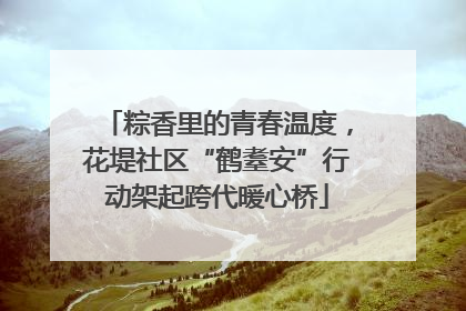 粽香里的青春温度，花堤社区“鹤耋安”行动架起跨代暖心桥