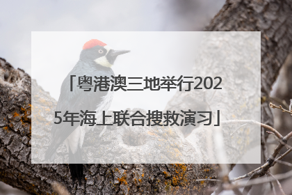 粤港澳三地举行2025年海上联合搜救演习