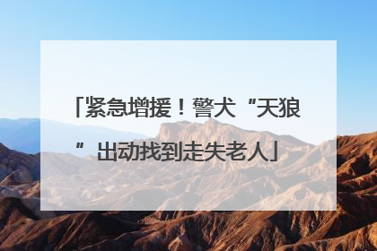 紧急增援！警犬“天狼”出动找到走失老人
