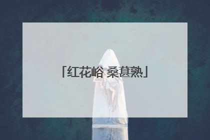 红花峪 桑葚熟