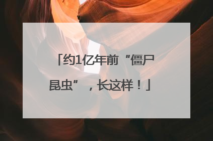 约1亿年前“僵尸昆虫”，长这样！