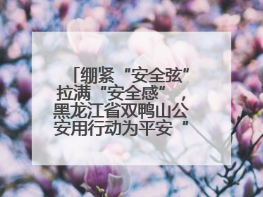 绷紧“安全弦”拉满“安全感”，黑龙江省双鸭山公安用行动为平安“加码”