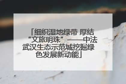 细织湿地绿带 厚结“文旅明珠”——中法武汉生态示范城挖掘绿色发展新动能
