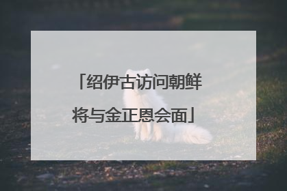 绍伊古访问朝鲜 将与金正恩会面