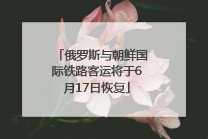俄罗斯与朝鲜国际铁路客运将于6月17日恢复