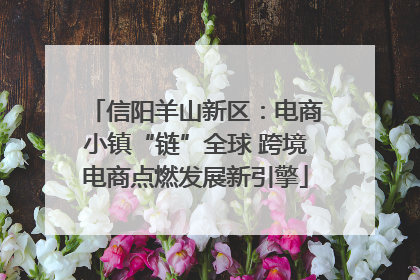 信阳羊山新区：电商小镇“链”全球 跨境电商点燃发展新引擎