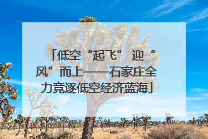 低空“起飞” 迎“风”而上——石家庄全力竞逐低空经济蓝海