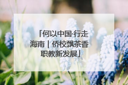 何以中国·行走海南｜侨校飘茶香 职教新发展