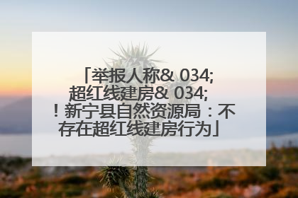 举报人称& 034;超红线建房& 034;！新宁县自然资源局：不存在超红线建房行为
