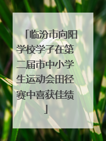 临汾市向阳学校学子在第二届市中小学生运动会田径赛中喜获佳绩