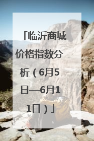 临沂商城价格指数分析（6月5日—6月11日）