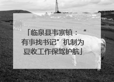 临泉县韦寨镇：“有事找书记”机制为夏收工作保驾护航