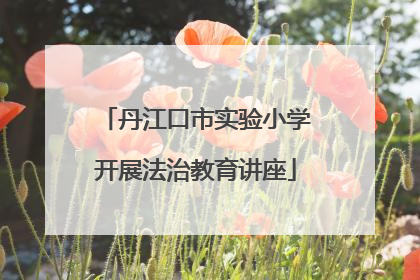 丹江口市实验小学开展法治教育讲座