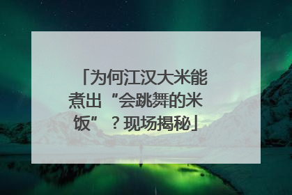 为何江汉大米能煮出“会跳舞的米饭”？现场揭秘