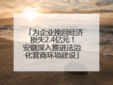为企业挽回经济损失2.4亿元！安徽深入推进法治化营商环境建设