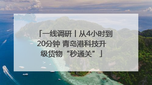 一线调研丨从4小时到20分钟 青岛港科技升级货物“秒通关”