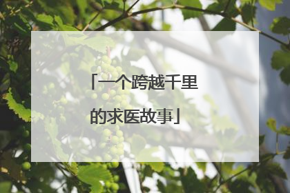 一个跨越千里的求医故事