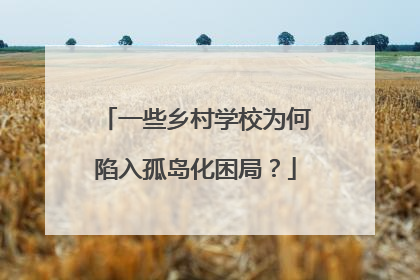 一些乡村学校为何陷入孤岛化困局？