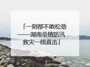 一刻都不敢松劲——湖南桑植防汛救灾一线直击