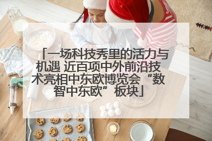 一场科技秀里的活力与机遇 近百项中外前沿技术亮相中东欧博览会“数智中东欧”板块
