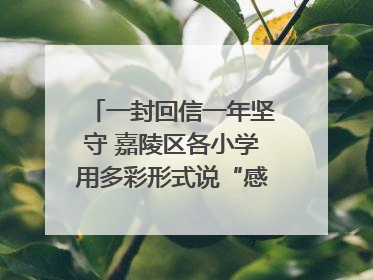 一封回信一年坚守 嘉陵区各小学用多彩形式说“感恩”｜风起之江 扶摇直上