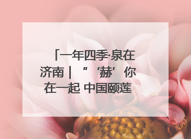 一年四季·泉在济南｜“‘赫’你在一起 中国颐莲喷雾节”盛大开启 共赴水润之约
