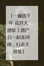一廊连千年 花开大遗址丨遗产日一起来河南，行走大遗址