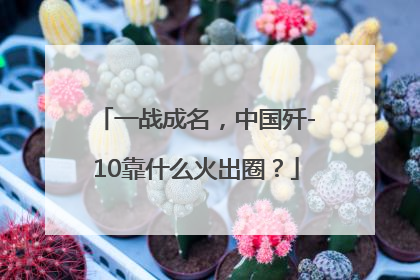 一战成名，中国歼-10靠什么火出圈？