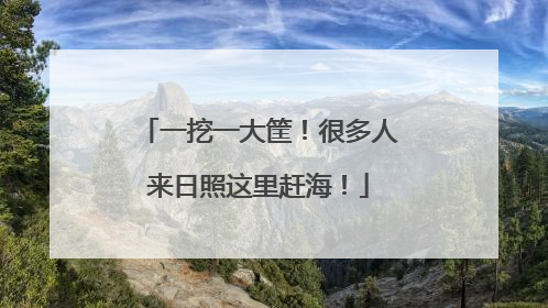 一挖一大筐！很多人来日照这里赶海！