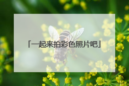 一起来拍彩色照片吧
