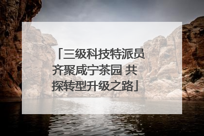 三级科技特派员齐聚咸宁茶园 共探转型升级之路
