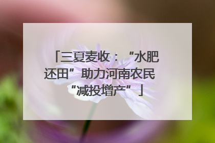 三夏麦收：“水肥还田”助力河南农民“减投增产”