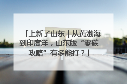 上新了山东｜从黄渤海到印度洋，山东版“零碳攻略”有多能打？