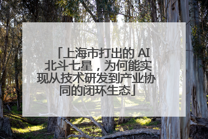 上海市打出的 AI 北斗七星，为何能实现从技术研发到产业协同的闭环生态