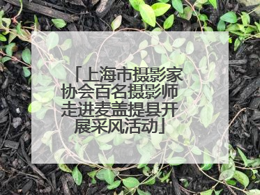 上海市摄影家协会百名摄影师走进麦盖提县开展采风活动