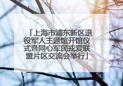 上海市浦东新区退役军人主题馆开馆仪式暨同心军民戎爱联盟片区交流会举行