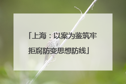 上海：以案为鉴筑牢拒腐防变思想防线