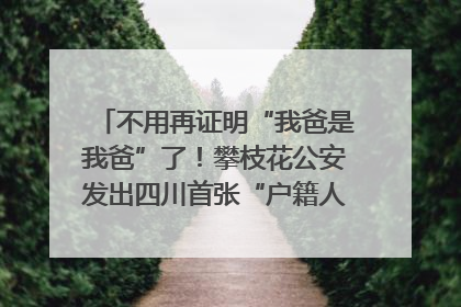 不用再证明“我爸是我爸”了！攀枝花公安发出四川首张“户籍人口直系亲属关系谱”