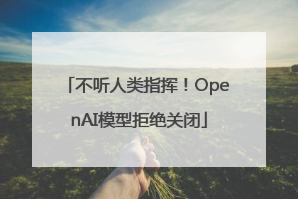 不听人类指挥！OpenAI模型拒绝关闭