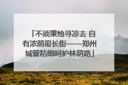 不须秉烛寻凉去 自有浓荫覆长街——郑州城管精细呵护林荫路