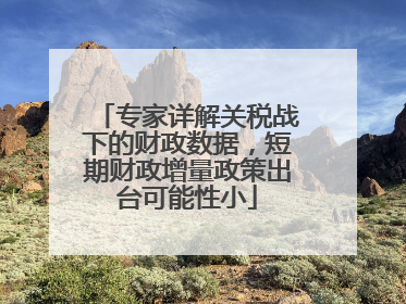 专家详解关税战下的财政数据，短期财政增量政策出台可能性小
