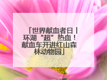 世界献血者日丨环湖“超”热血！献血车开进红山森林动物园