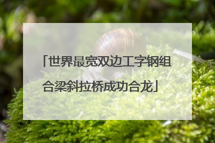 世界最宽双边工字钢组合梁斜拉桥成功合龙