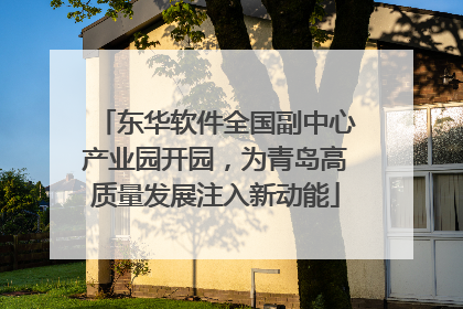 东华软件全国副中心产业园开园，为青岛高质量发展注入新动能