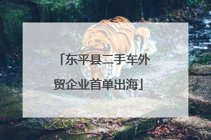 东平县二手车外贸企业首单出海