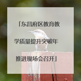 东昌府区教育教学质量提升突破年推进现场会召开