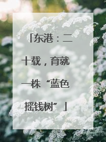 东港：二十载，育就一株“蓝色摇钱树”