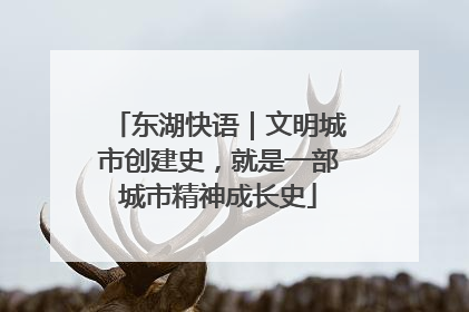 东湖快语｜文明城市创建史，就是一部城市精神成长史