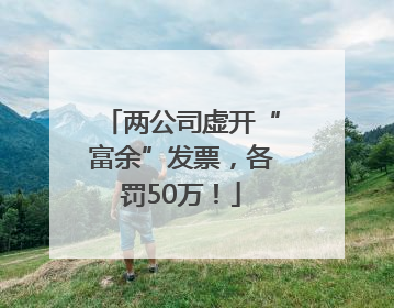 两公司虚开“富余”发票，各罚50万！